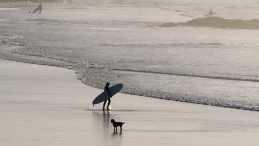 Surfer wading into shallows carrying surfboard while small dog stands nearby